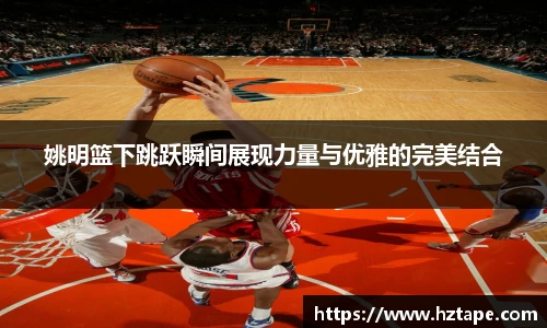 姚明篮下跳跃瞬间展现力量与优雅的完美结合